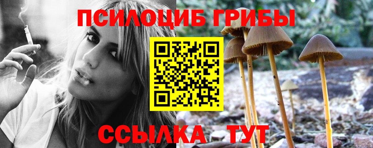 Галлюциногенные грибы Cubensis  Псилоцибиновые грибы мухоморы  закладка  Вход с VPN  Сорочинск 